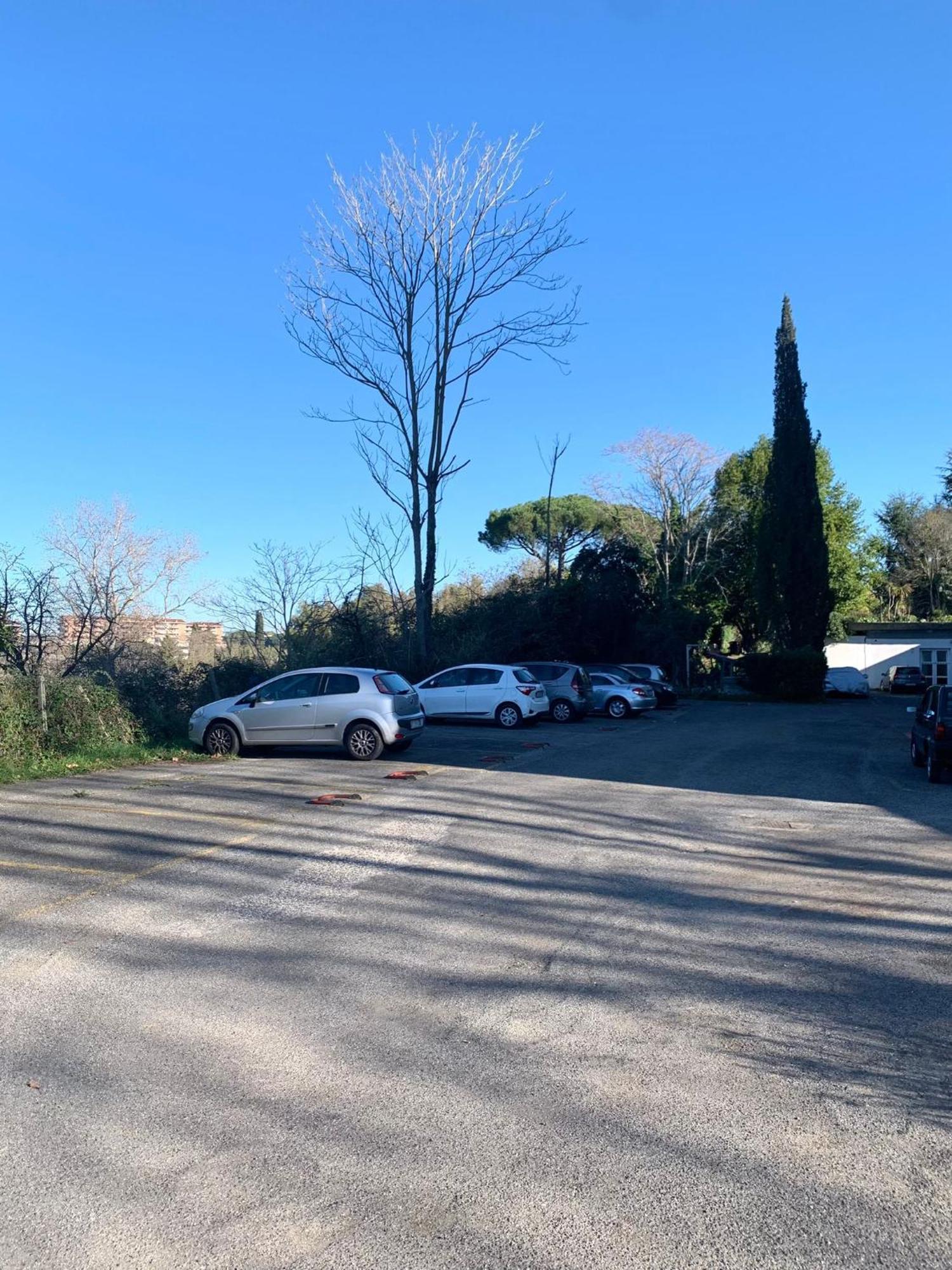 Aurelia House Garden Apartment Rome Bagian luar foto